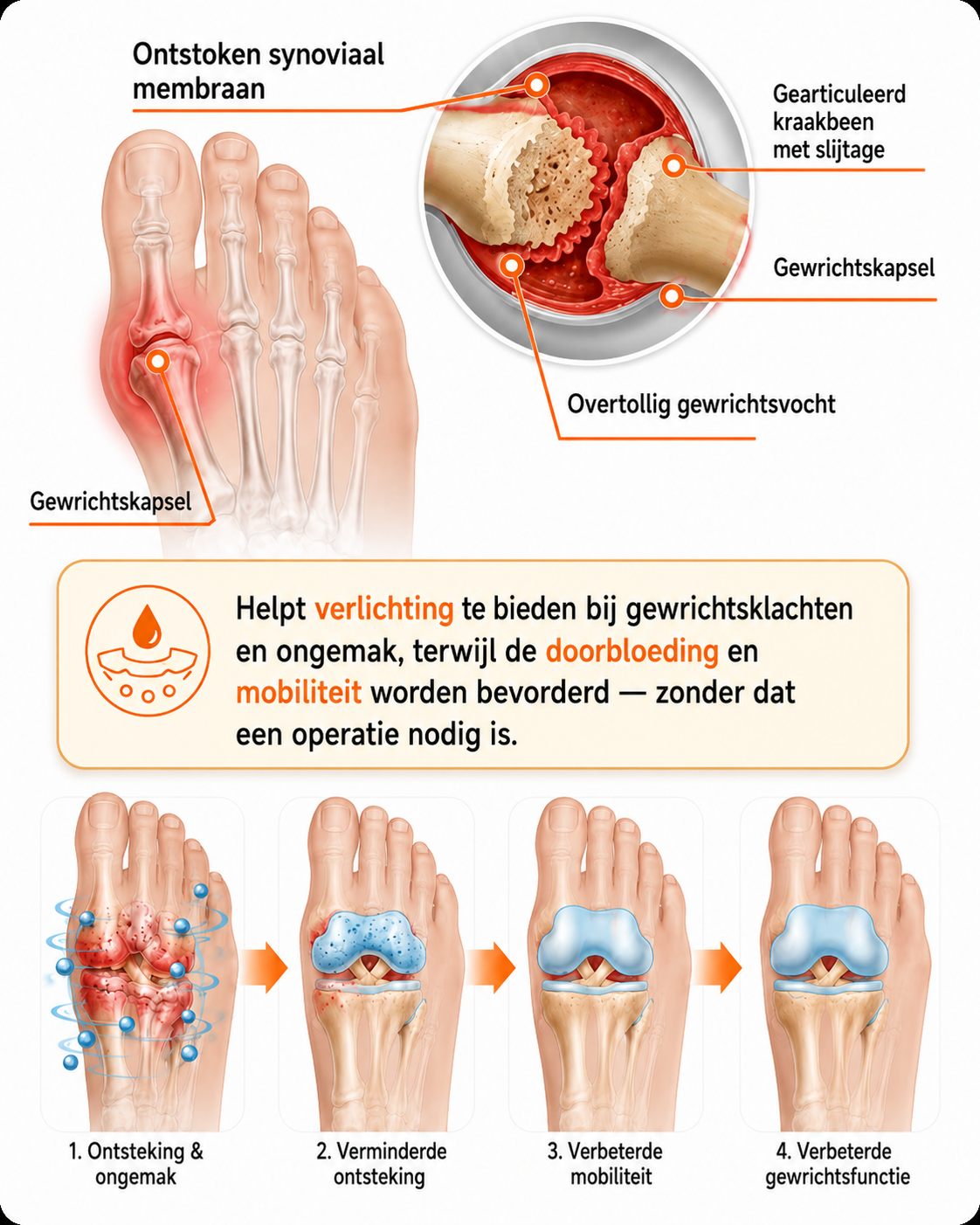 🏅Natravor® Relief Botanical Bunion Comfort Patcht👠💃（Physical Stretch Support + Botanical Comfort Formula)